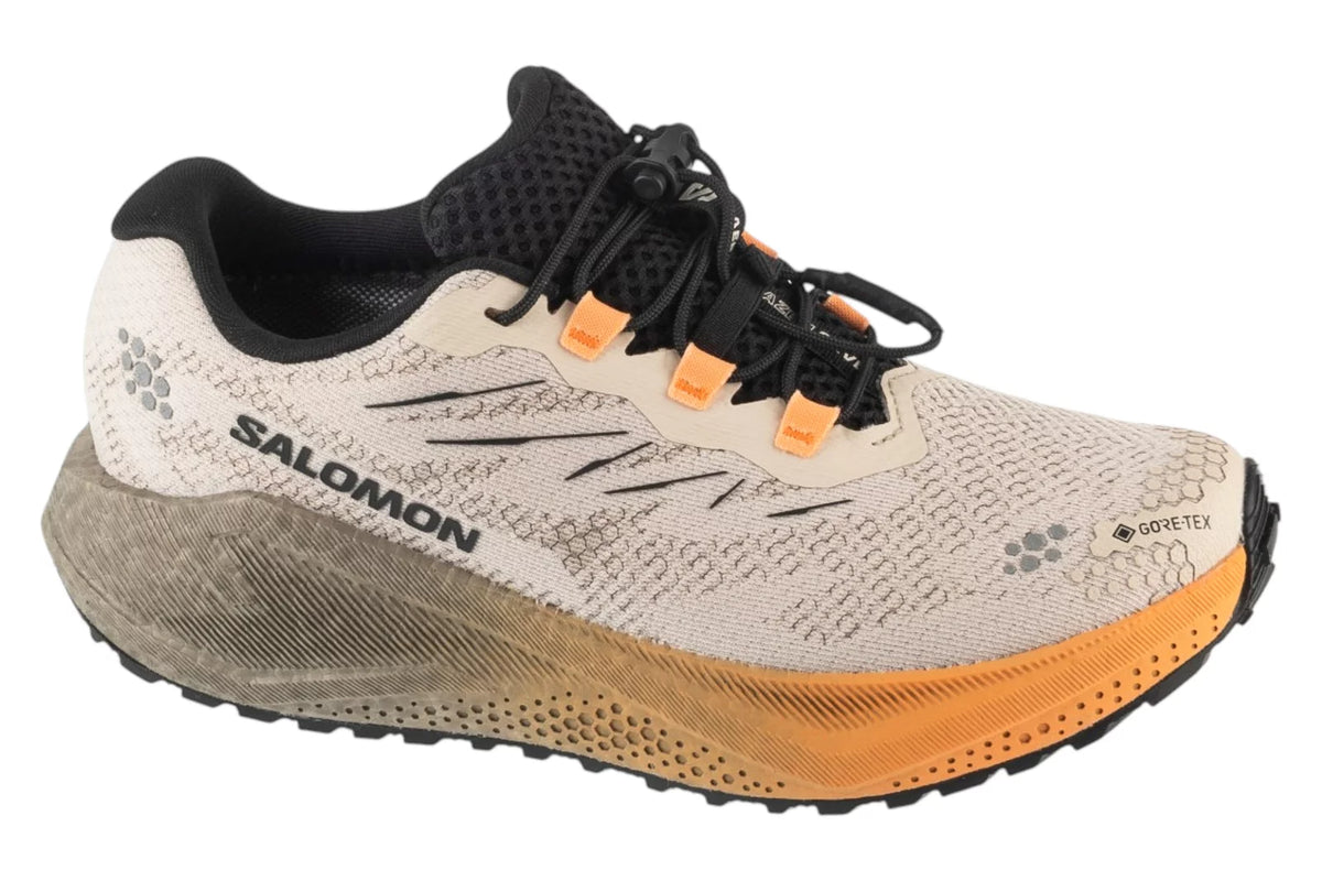 Salomon Aero Blaze 4 Grvl GTX W L45404000 - Szare