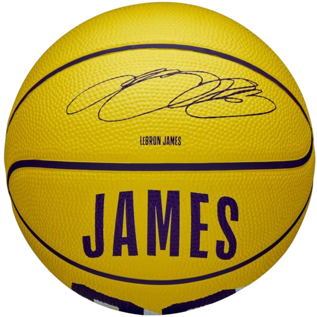 Wilson NBA Player Icon LeBron James Mini Ball WZ4027701XB - Żółte
