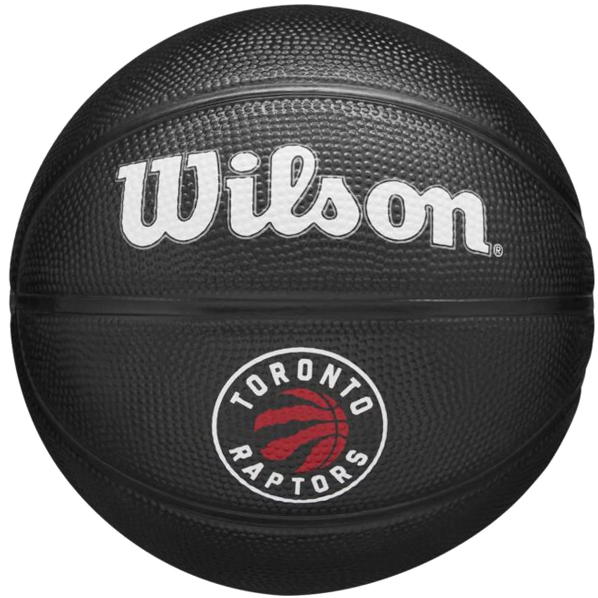 Wilson Team Tribute Toronto Raptors Mini Ball WZ4017608XB - Czarne