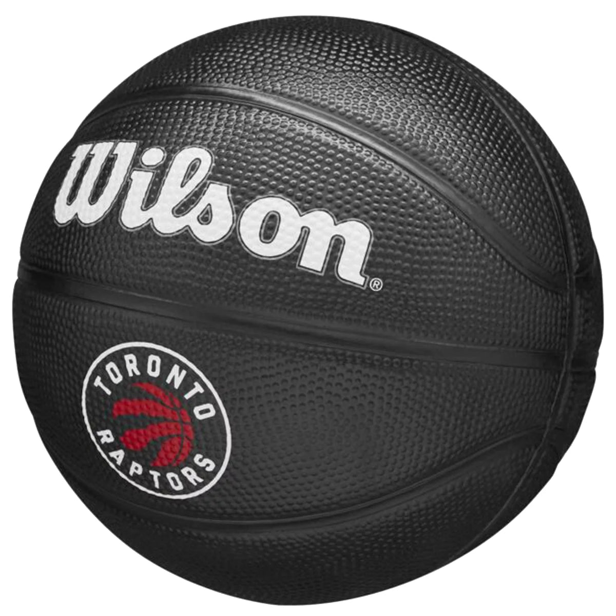 Wilson Team Tribute Toronto Raptors Mini Ball WZ4017608XB - Czarne