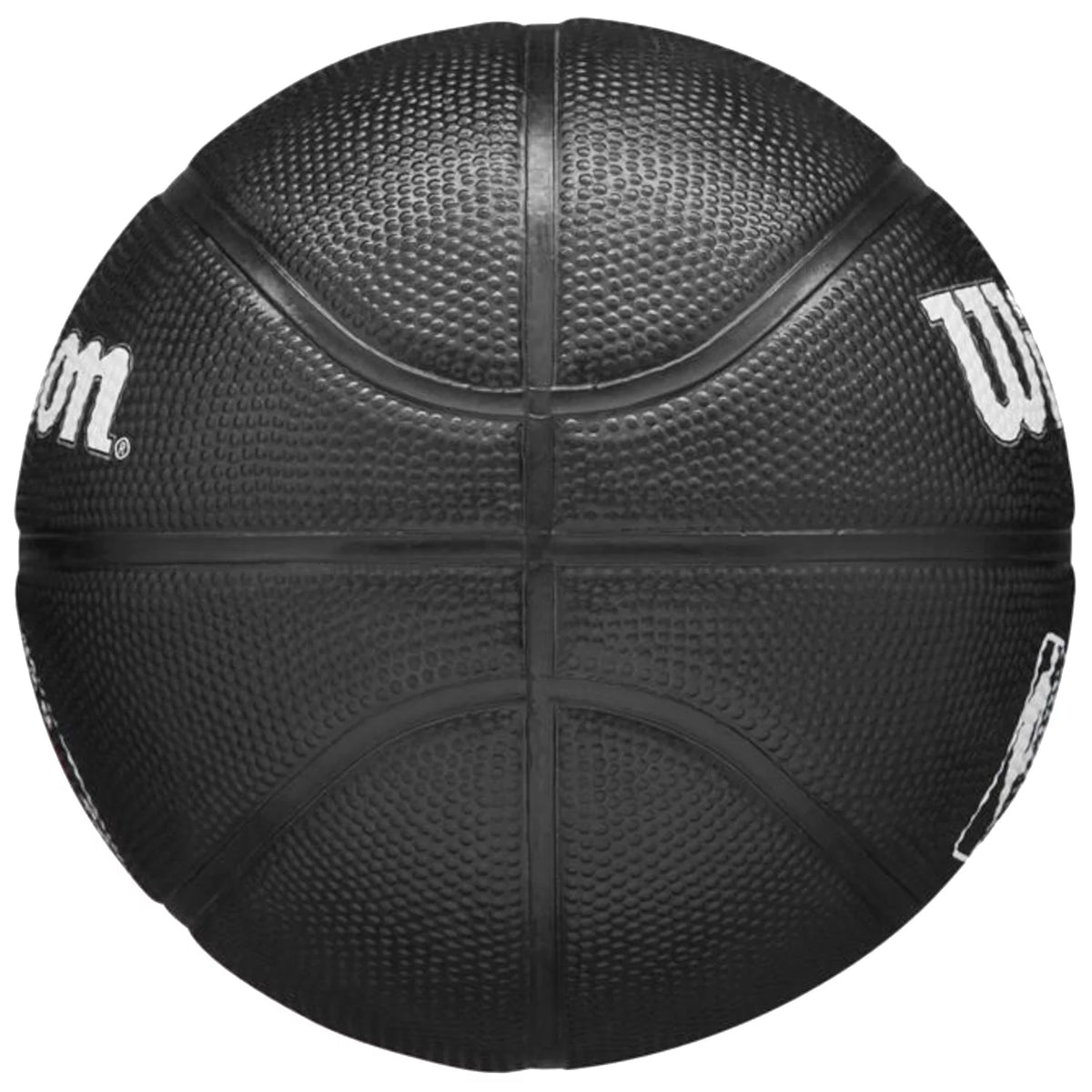 Wilson Team Tribute Toronto Raptors Mini Ball WZ4017608XB - Czarne